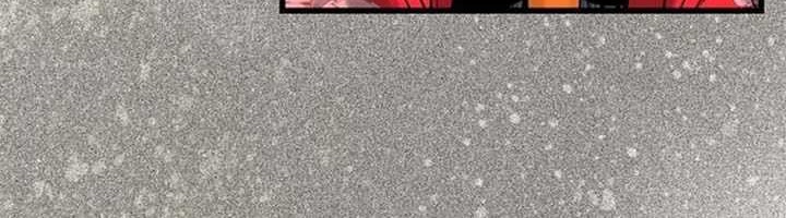 The World’s Best Sect of Dependency Chapter 17 Gambar 32