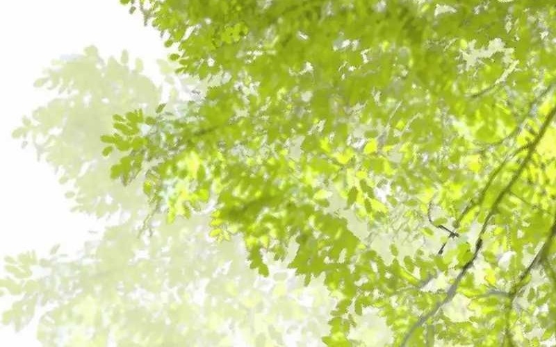 The Ghostly Doctor Chapter 599 Gambar 12