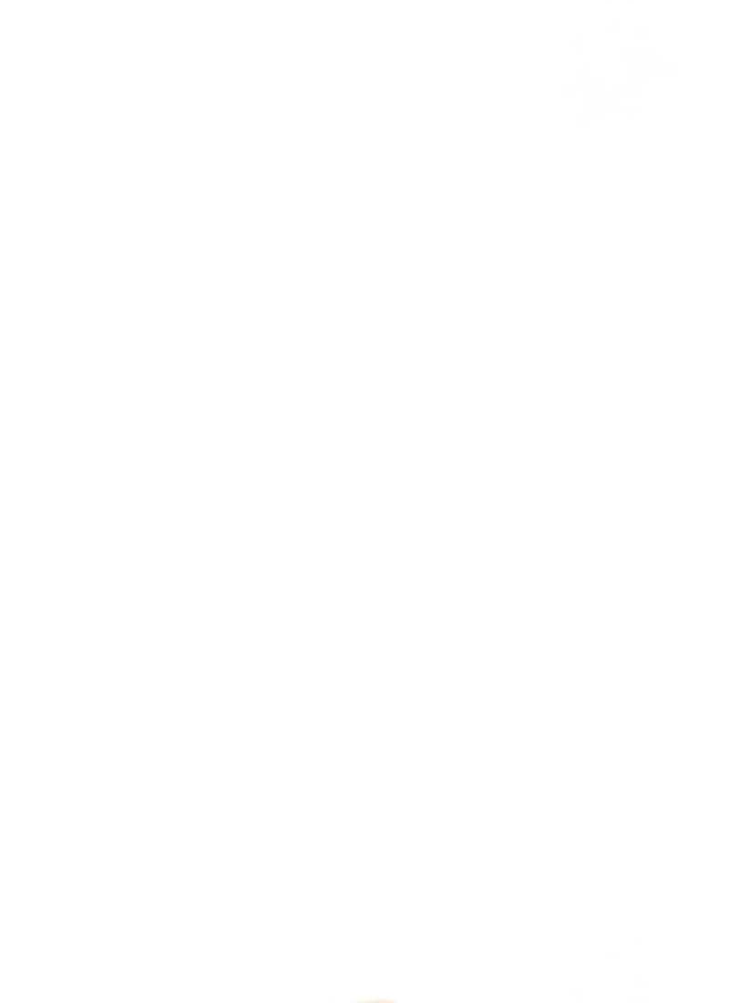 The Knight King Who Returned with a God Chapter 30 Gambar 61