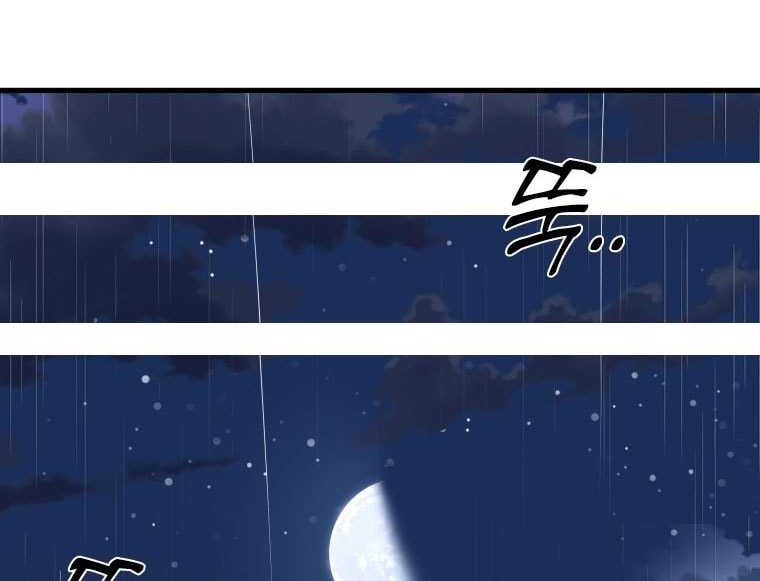 Shark Chapter 300 Gambar 16