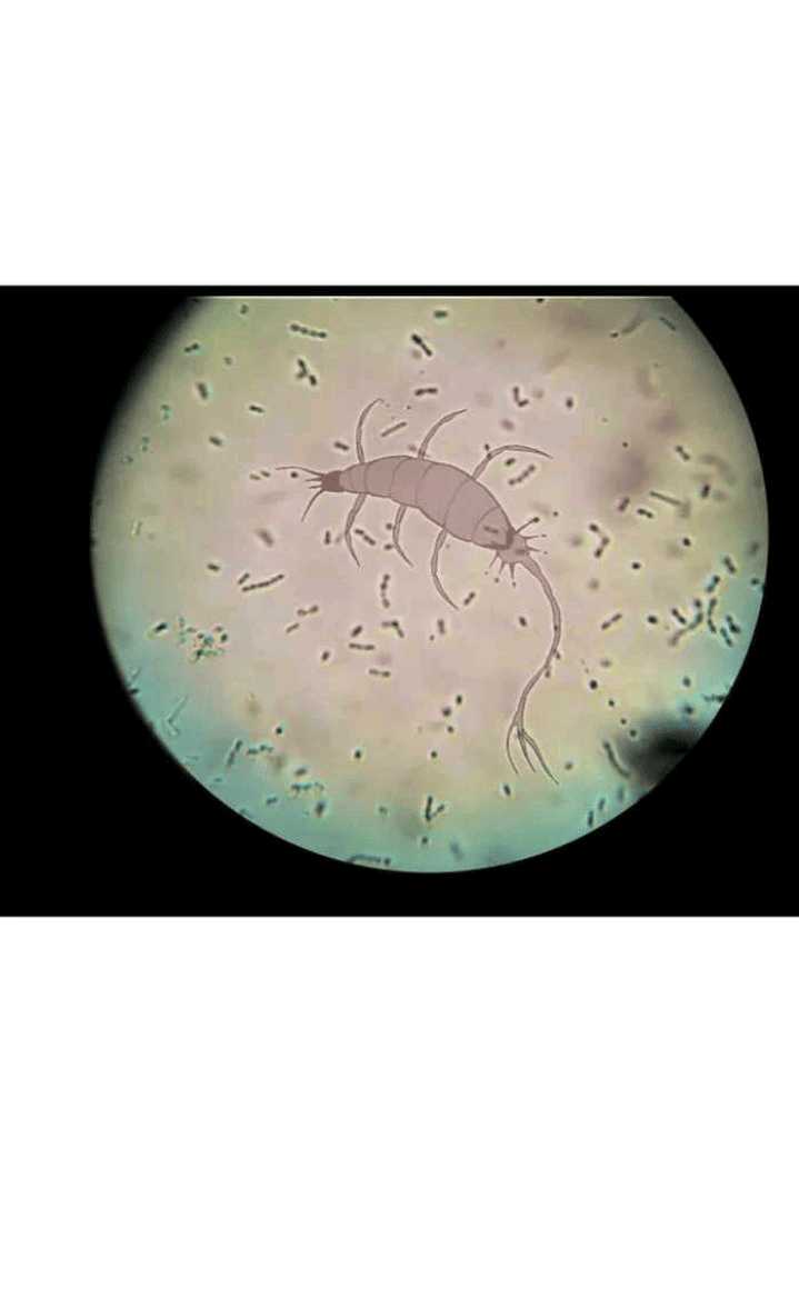 Evolution Begins With A Big Tree Chapter 143 Gambar 53