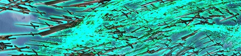 Keep A Low Profile, Sect Leader Chapter 293 Gambar 9