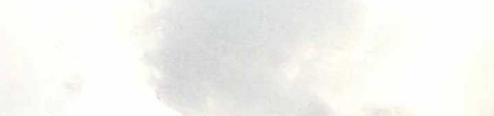 The World’s Best Sect of Dependency Chapter 23 Gambar 72