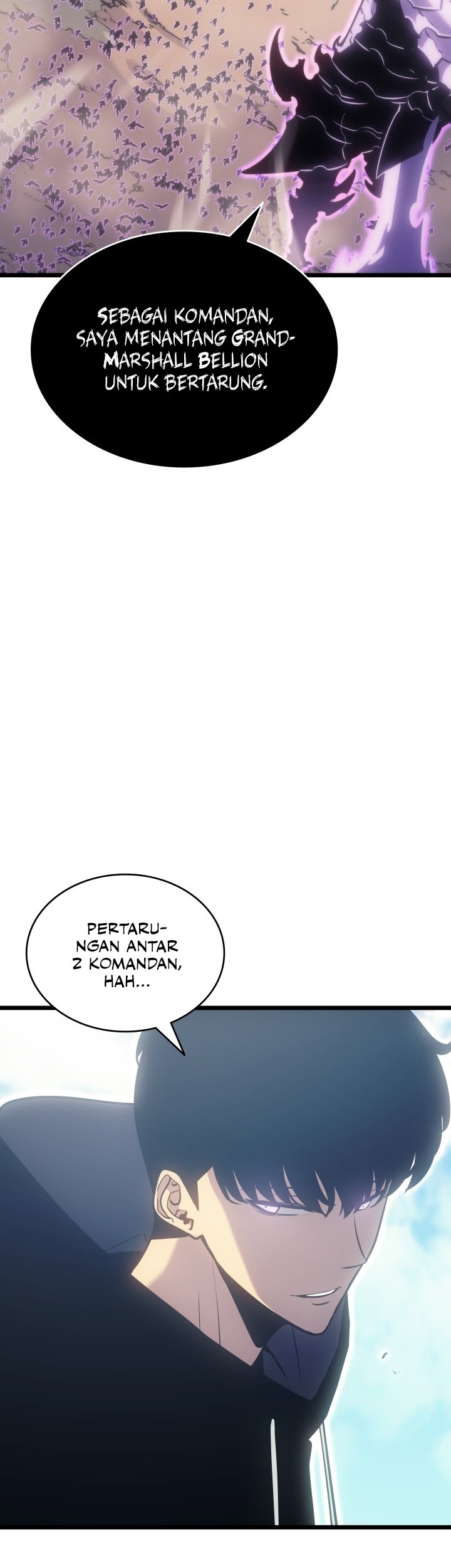 Solo Leveling Chapter 167 Gambar 48