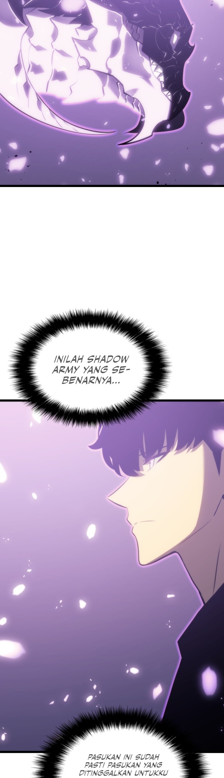 Solo Leveling Chapter 167 Gambar 27