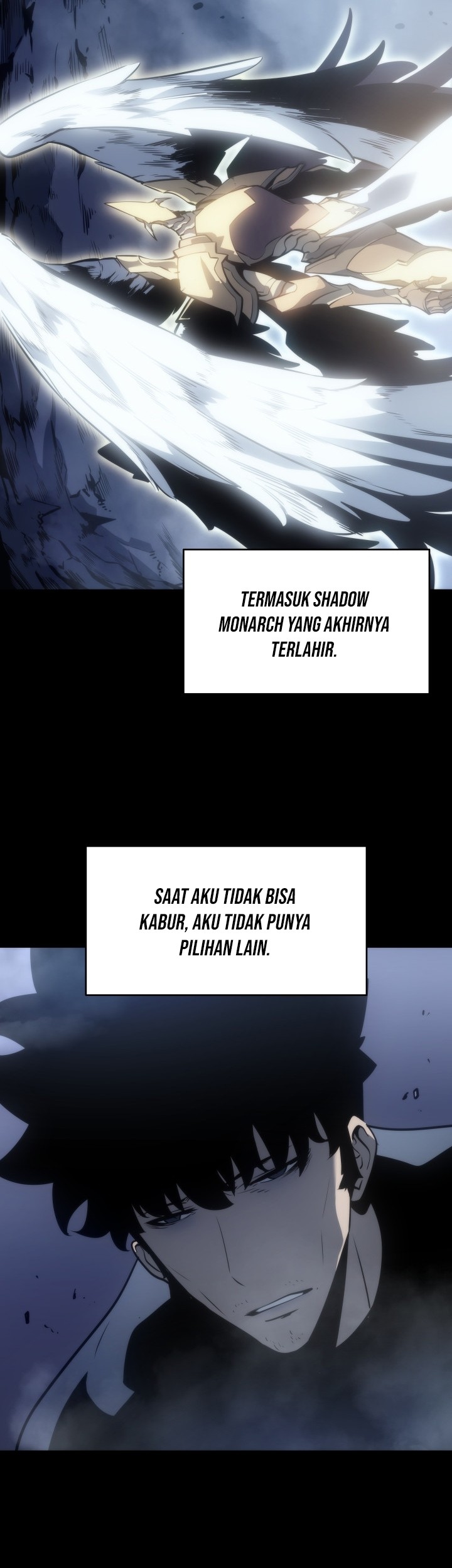 Solo Leveling Chapter 166 Gambar 8