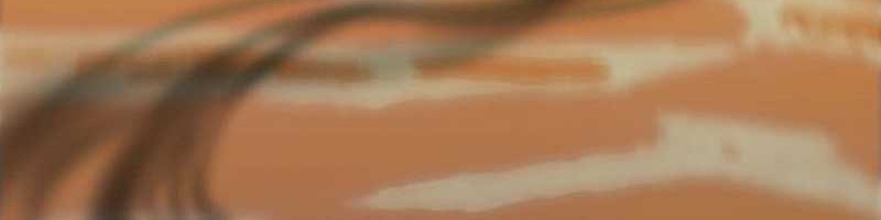 I’m Really Not The Demon God’s Lackey Chapter 109.5 Gambar 33