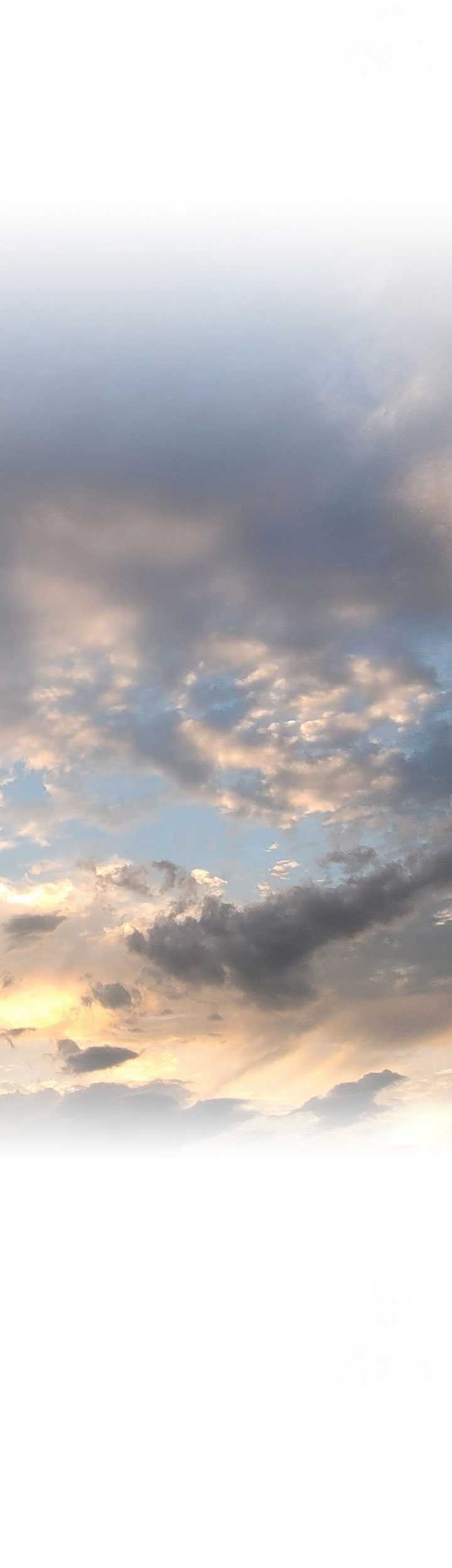 The World’s Best Sect of Dependency Chapter 43 Gambar 48