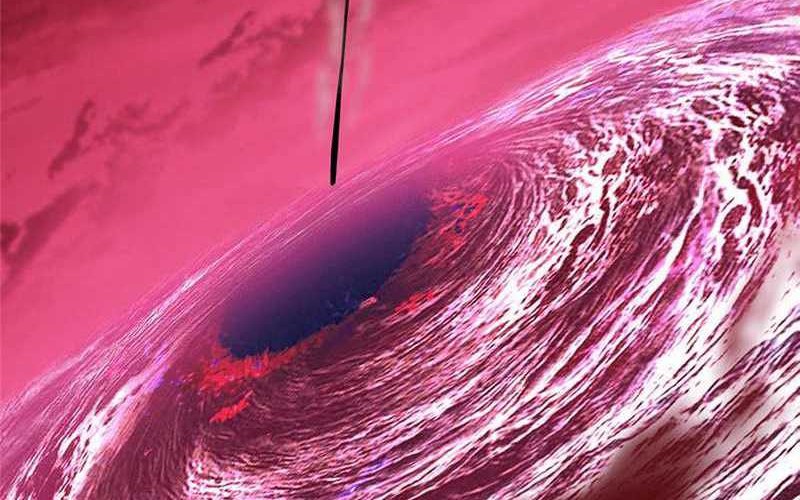 Keep A Low Profile, Sect Leader Chapter 320 Gambar 26