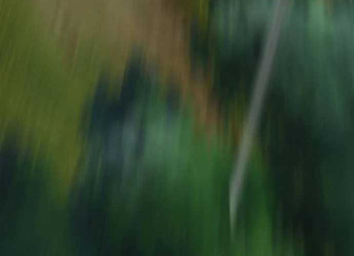 Becoming the Swordmaster Rank Young Lord of the Sichuan Tang Family Chapter 08 Gambar 63