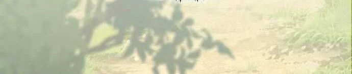 Becoming the Swordmaster Rank Young Lord of the Sichuan Tang Family Chapter 08 Gambar 82