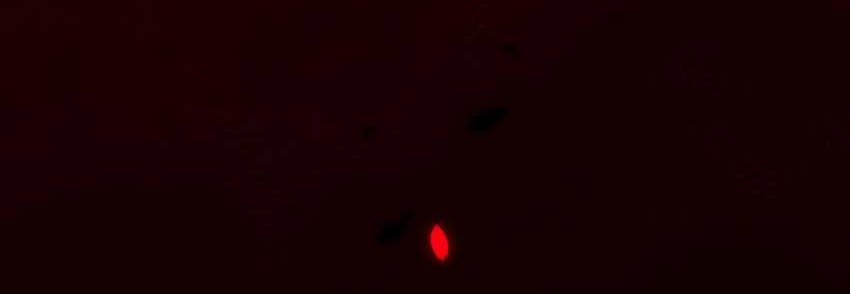 My Harem Grew So Large, I Was Forced to Ascend Chapter 78 Gambar 57