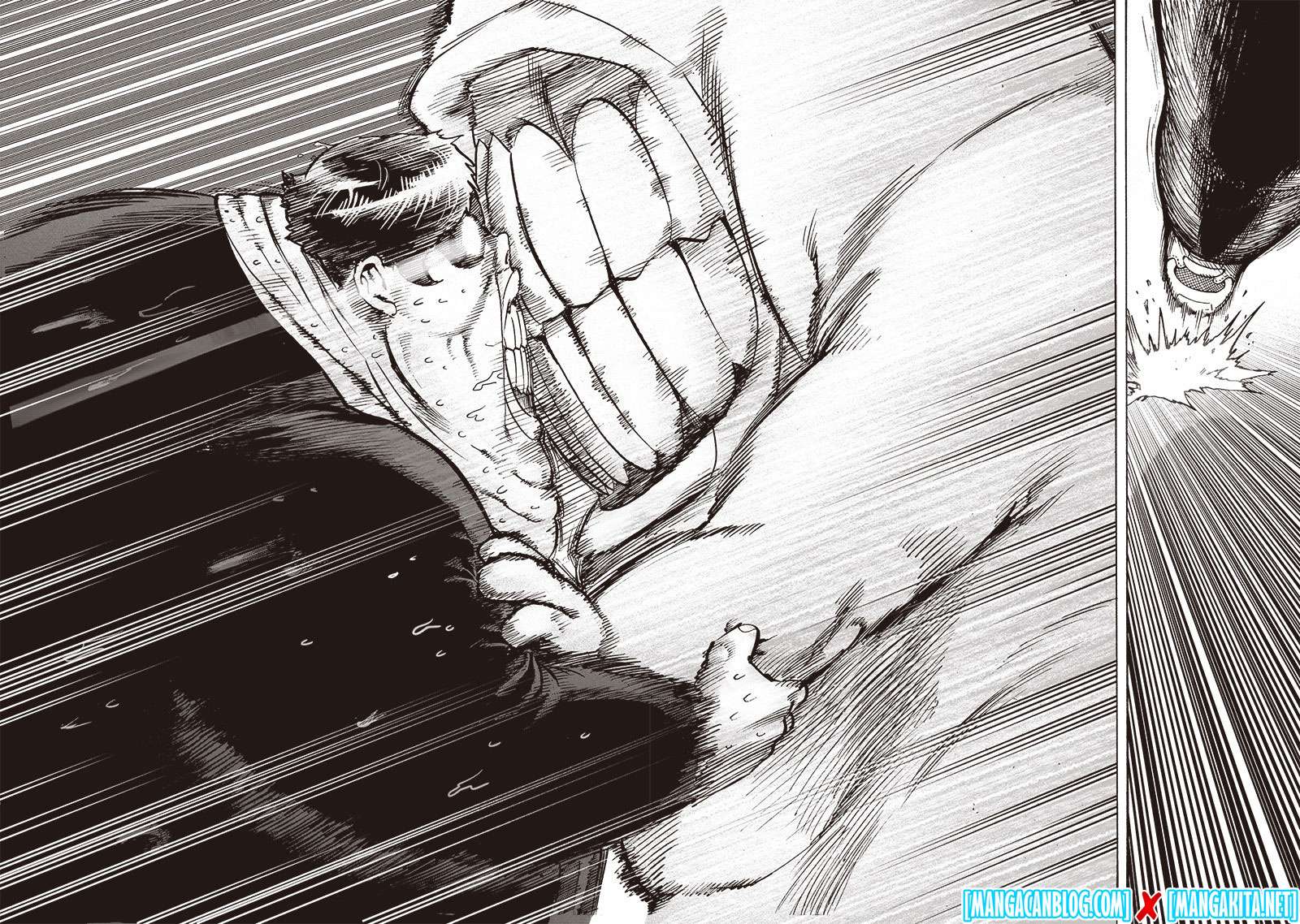 One Punch Man Chapter 161 Gambar 10