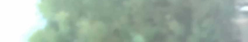 Warrior Grandpa and Supreme Granddaughter Chapter 40 Gambar 16