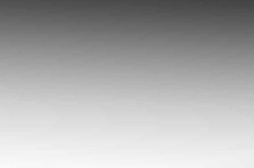 Shark Chapter 325 Gambar 40