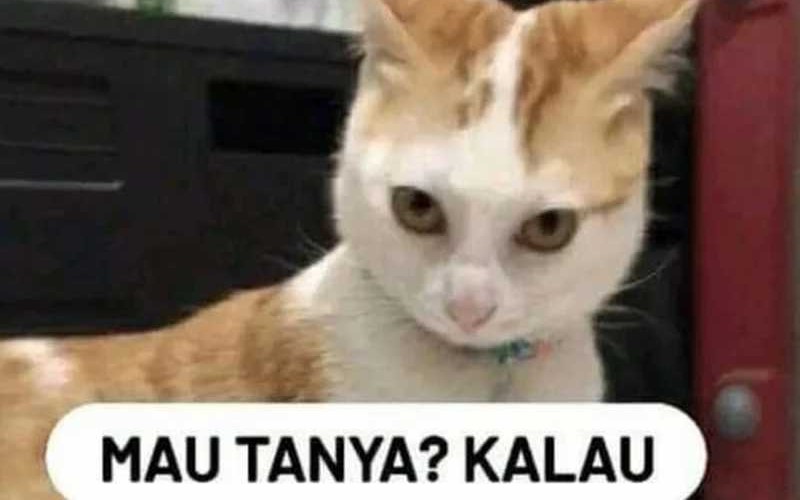 The Game’s Greatest Troll Chapter 73 Gambar 124