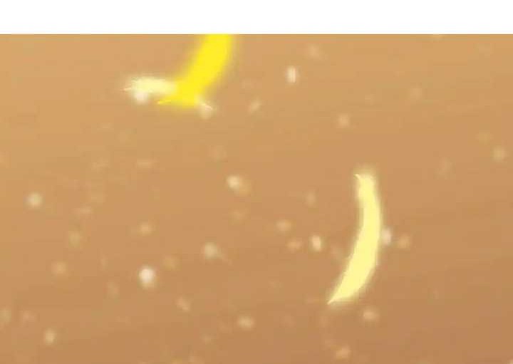 SSS-level Paladin Who Breaks All Logic Chapter 16 Gambar 5