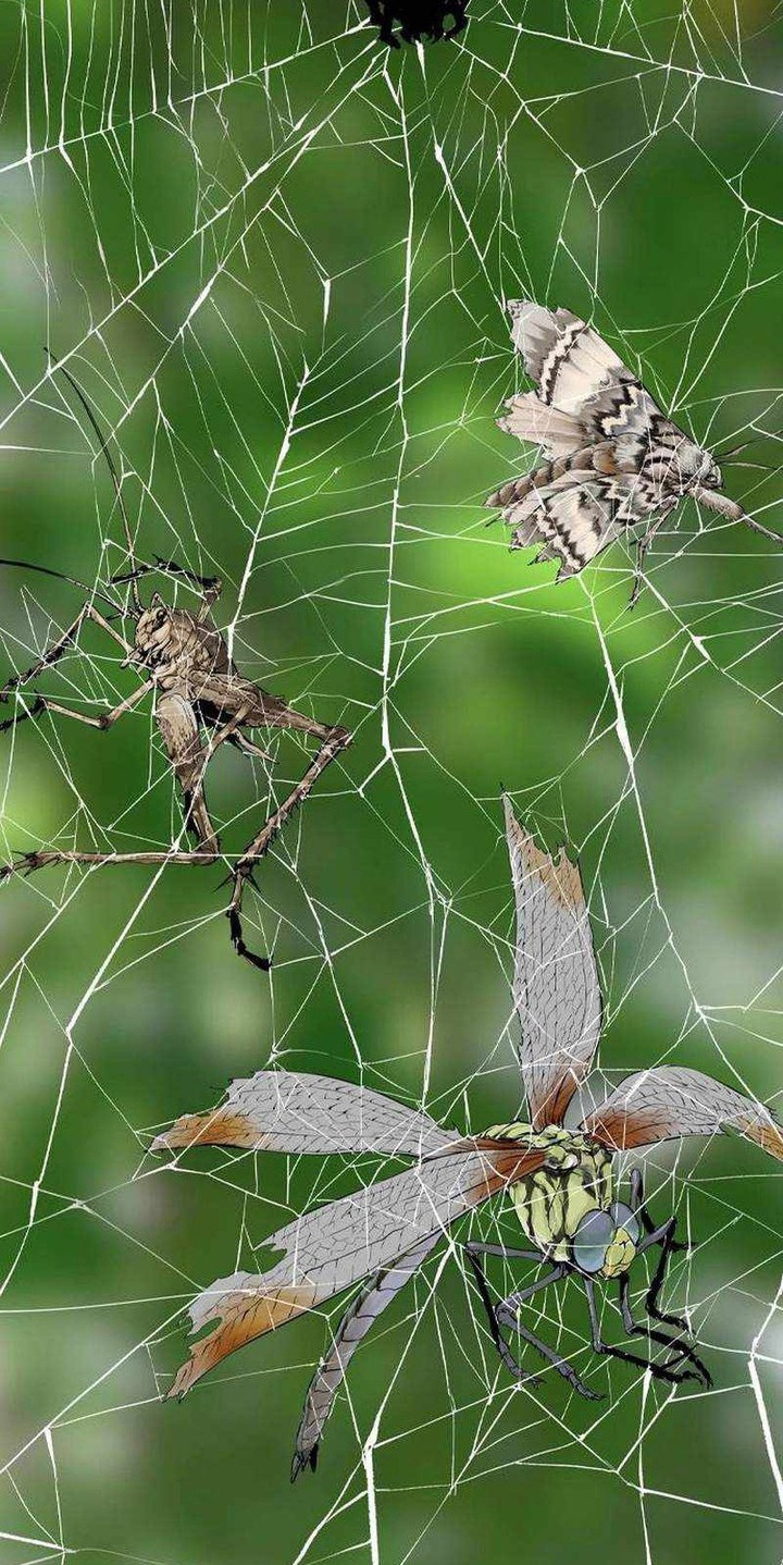 Asura (Ryu Ki-Un) Chapter 10 Gambar 71