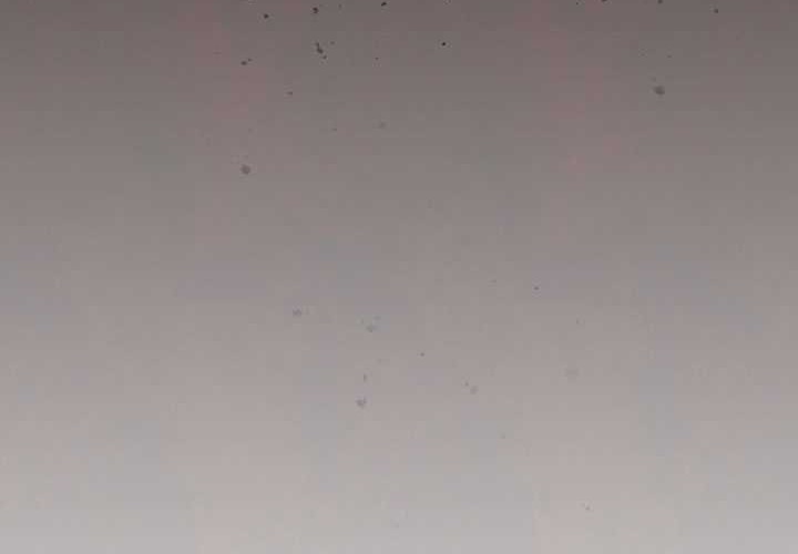 Player from Today Onwards Chapter 109 Gambar 33