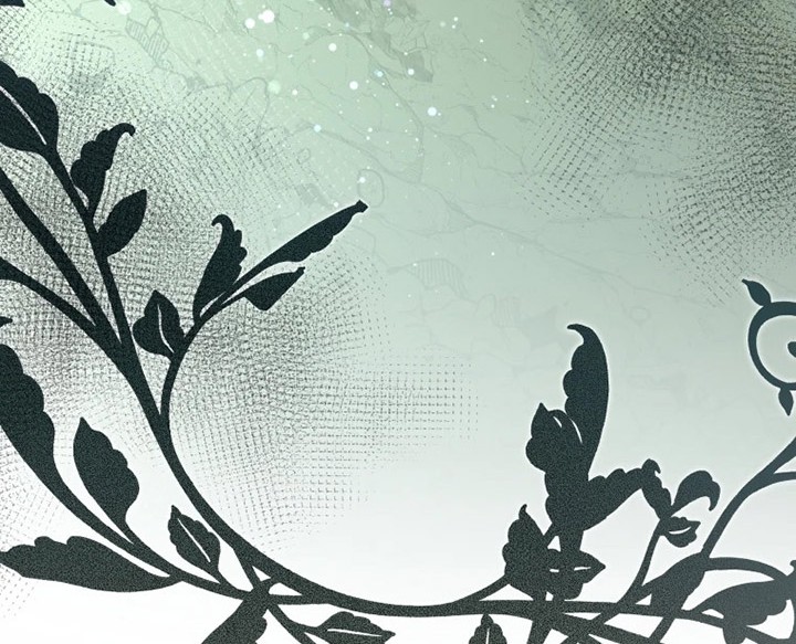 Black Killer Whale Baby Chapter 01 Gambar 3