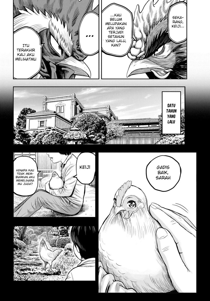Rooster Fighter Chapter 11 Gambar 18