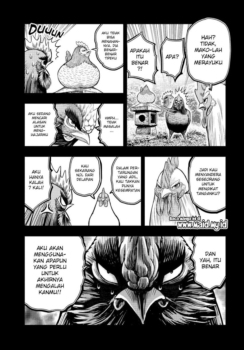 Rooster Fighter Chapter 11 Gambar 21