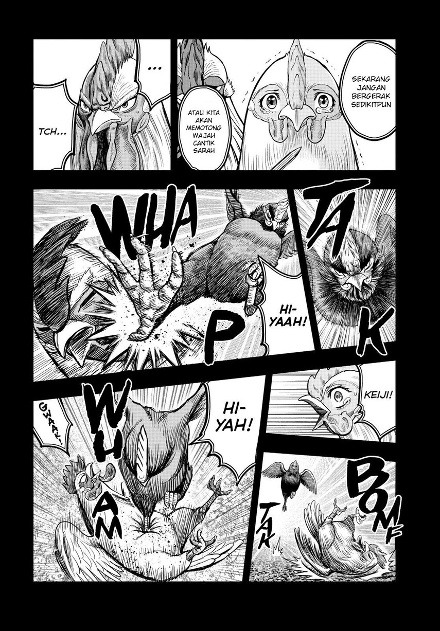 Rooster Fighter Chapter 11 Gambar 22