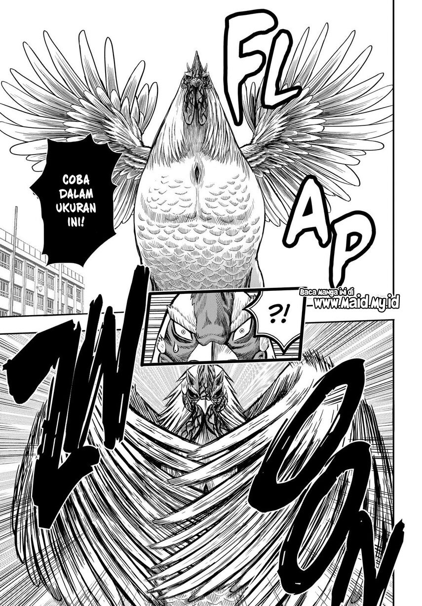 Rooster Fighter Chapter 11 Gambar 38