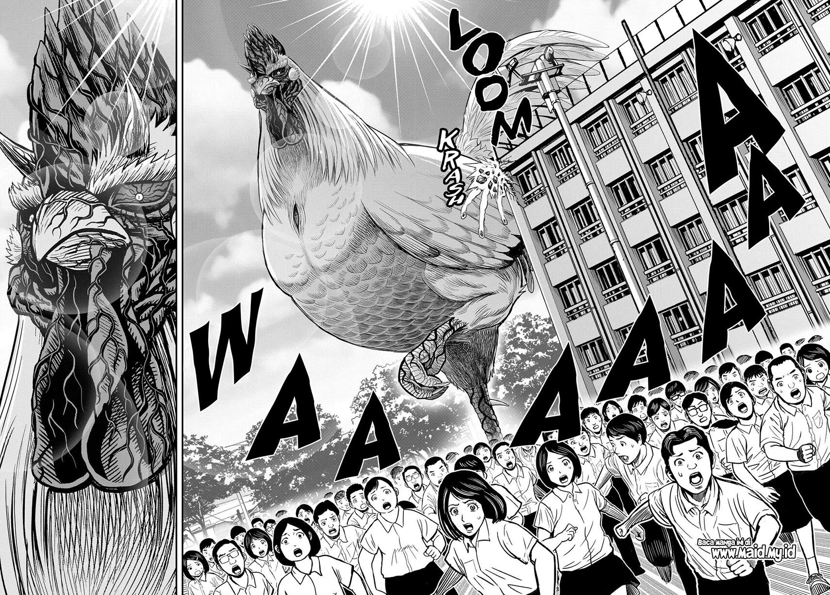 Rooster Fighter Chapter 11 Gambar 30