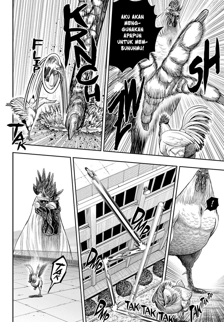 Rooster Fighter Chapter 11 Gambar 33