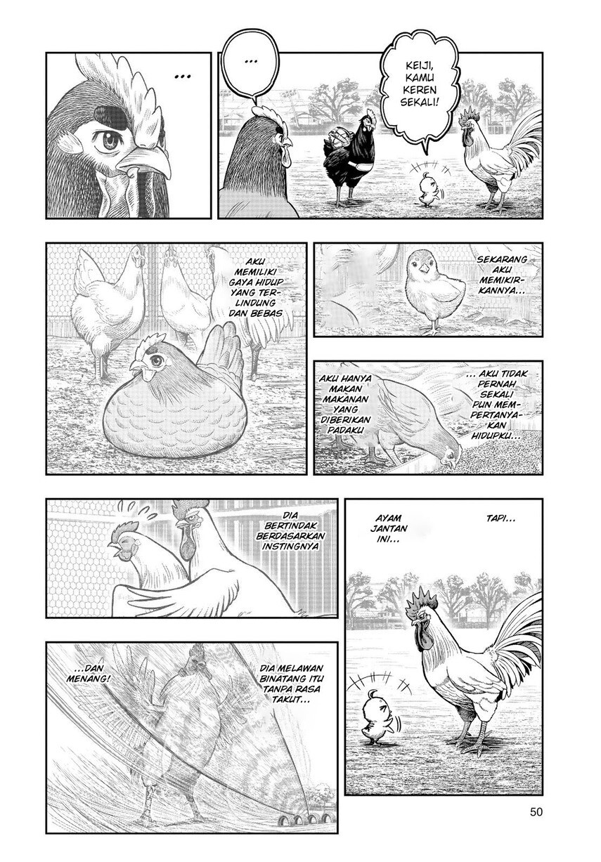 Rooster Fighter Chapter 11 Gambar 48