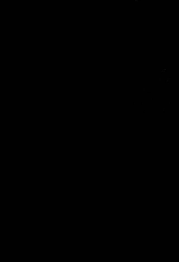 King of Violence Chapter 23 Gambar 56