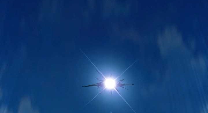 I Took over The Academy With a Single Sashimi Knife Chapter 02 Gambar 64