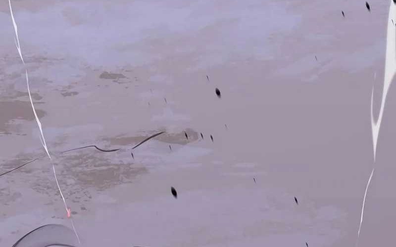 Martial Wild West Chapter 49 Gambar 82