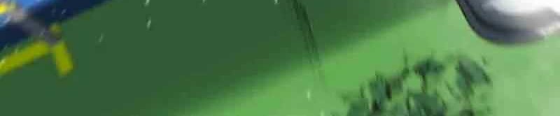 I Have 90 Billion Licking Gold Chapter 311 Gambar 11