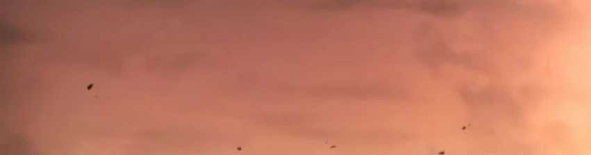 Boundless Necromancer Chapter 101 Gambar 55