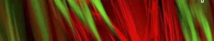 I Created an Urban Legend! Chapter 27 Gambar 21