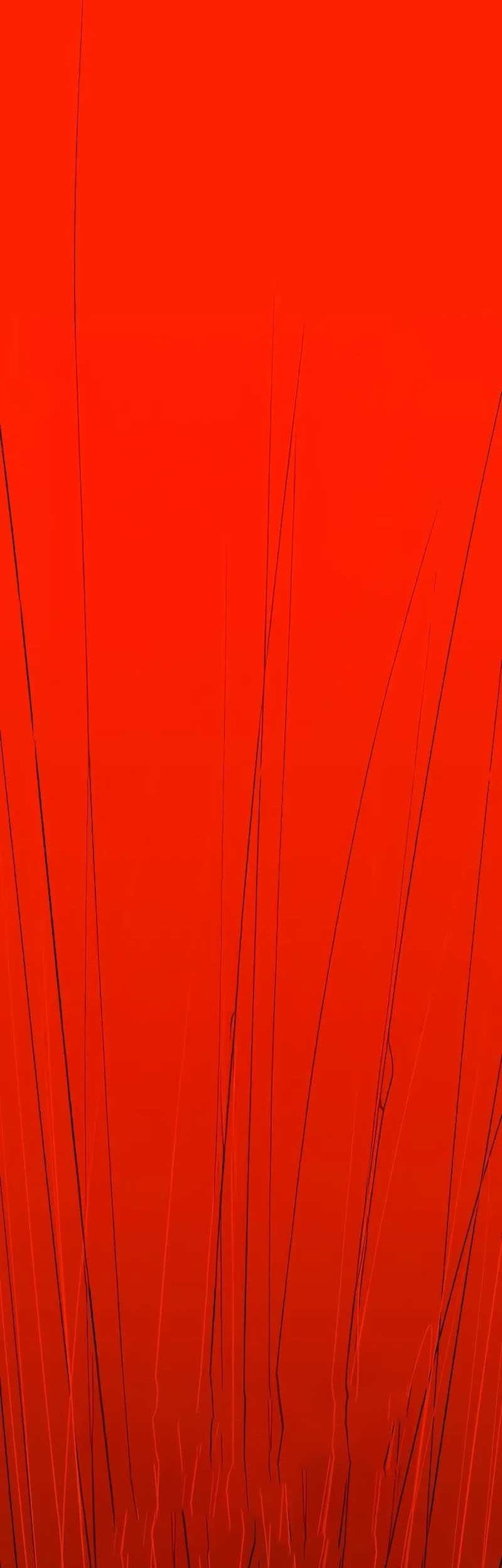 Bones Chapter 09 Gambar 75