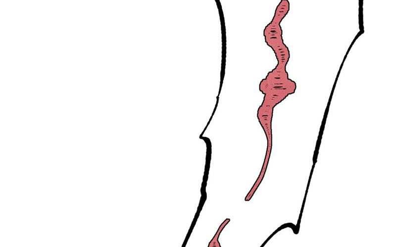 All Hail the Sect Leader Chapter 372 Gambar 42