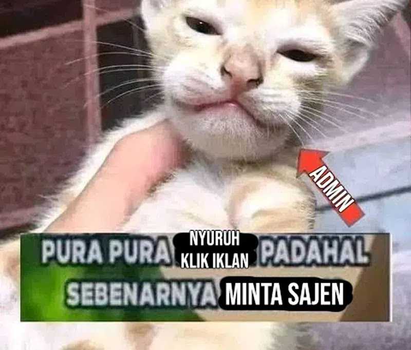 Zombie Apocalypse 82-08 Chapter 18 Gambar 118