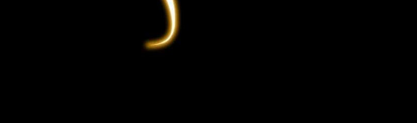 SSS-level Paladin Who Breaks All Logic Chapter 38 Gambar 7