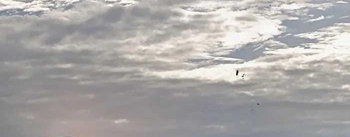 Overlord of Insects Chapter 29 Gambar 8