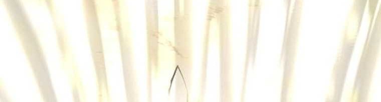 Heavenly Demon Cultivation Simulation Chapter 141 Gambar 98