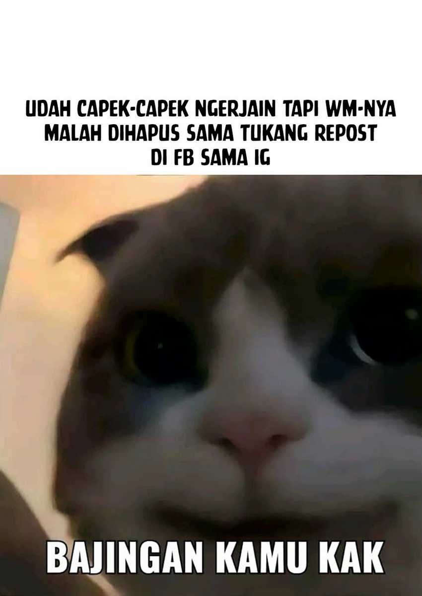 My Fake Girlfriends are Using Me As a Shield Chapter 72 Gambar 42