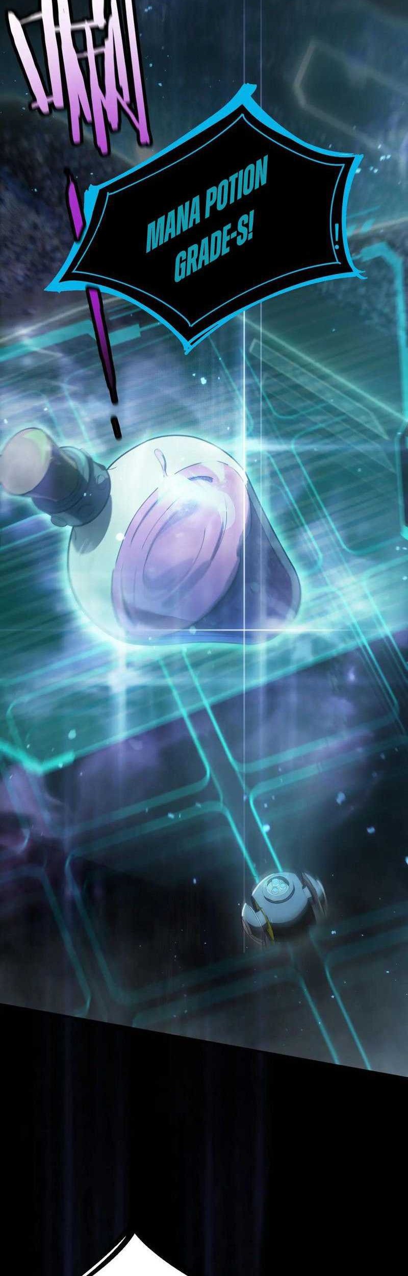 SSS-level Paladin Who Breaks All Logic Chapter 47 Gambar 37