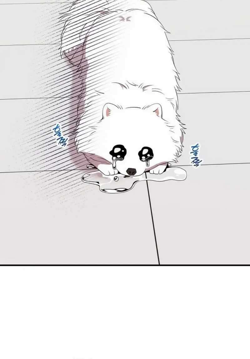 Magical Realm Shopkeeper Chapter 49 Gambar 6