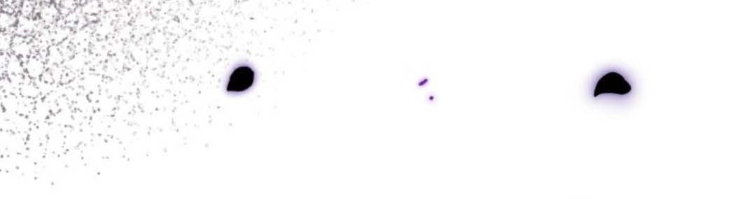 The Villain’s Daughter Plans To Run Away Chapter 35 Gambar 27