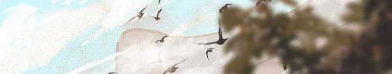 Keep A Low Profile, Sect Leader Chapter 463 Gambar 5