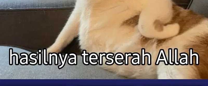 Brave X Devil Queen Chapter 132 Gambar 37