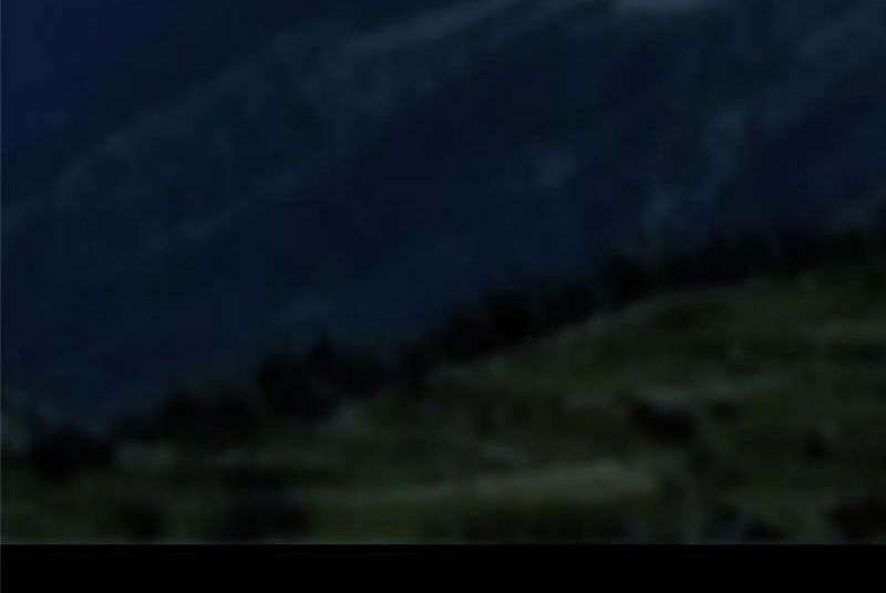 Keep A Low Profile, Sect Leader Chapter 456 Gambar 9